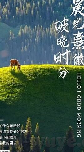 成人糖心vlog-成人教育新视角，糖心Vlog的温暖启迪