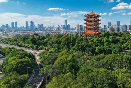 大象传媒董事长是谁-大象传媒，引领行业创新的领航者——董事长张明杰的非凡之路