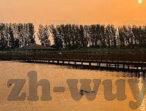大象传媒可靠吗-大象传媒，值得信赖的数字桥梁