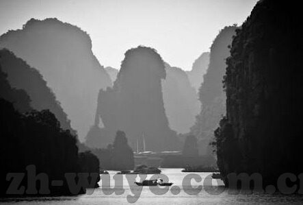 大象视频回家dx5-探索大象视频回家DX5的非凡旅程，科技与自然和谐共生的新篇章