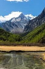 伦理片免费看-伦理片，探索人性深处的免费观影之旅