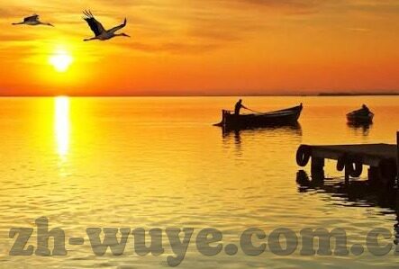 麻豆传媒2021在线观看-麻豆传媒2021，黑胶生活中的光与影