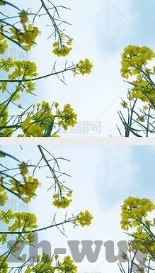 麻豆传媒视频app免费-合法观影与数字时代的界限，理性看待麻豆传媒视频app免费现象