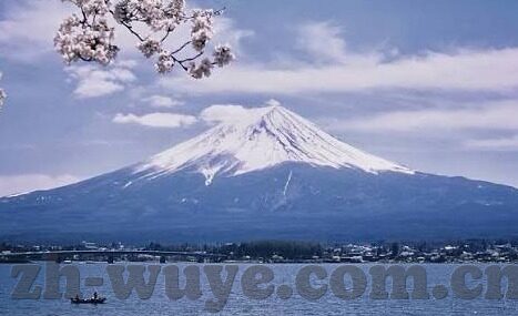 麻豆文化影视传媒网址-麻豆文化影视传媒，数字化时代的内容创新与实践