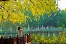 糖心app贴吧-糖心APP在贴吧的社交现象透视