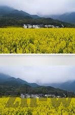糖心vlog高清-视界之旅，探索糖心Vlog高清世界的非凡体验